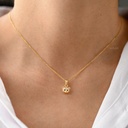 DIJE OSITO CIRCONADO