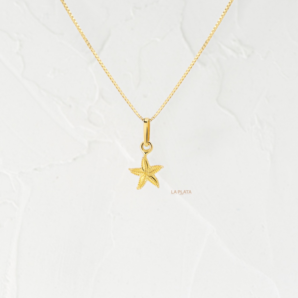 DIJE ESTRELLA DE MAR RANURADA