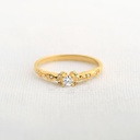 ANILLO CIRCÓN INVIERNO