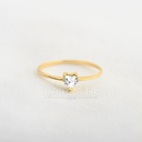 ANILLO CIRCÓN DALHI