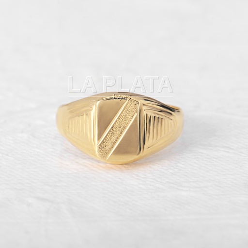 [AN517] ANILLO HOMBRE  SENDERO