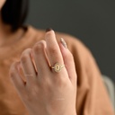ANILLO CIRCON VIRGEN MILAGROSA