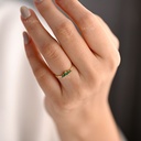 ANILLO OROGENY