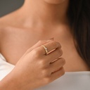 ANILLO CIRCÓN ECLÍPTICA