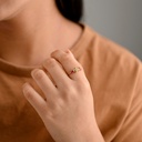 ANILLO CIRCON JARDIN SECRETO