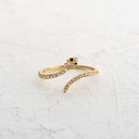 ANILLO CULEBRA CIRCONADA 