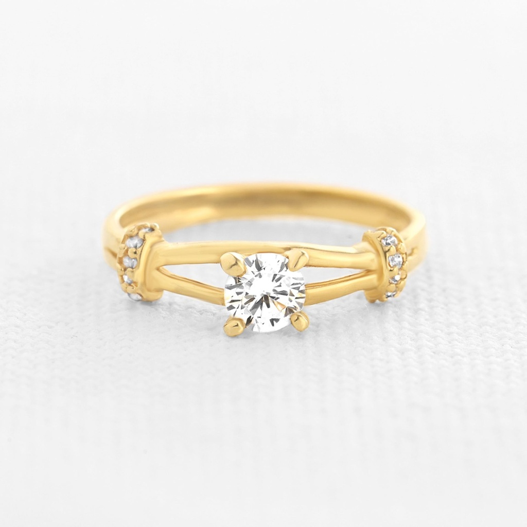 ANILLO PEREGRINO 