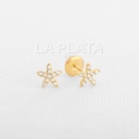 TOPOS ESTRELLA CIRCONADAS 