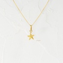 DIJE ESTRELLA DE MAR RANURADA