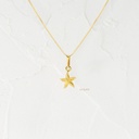 DIJE ESTRELLA DE MAR RANURADA