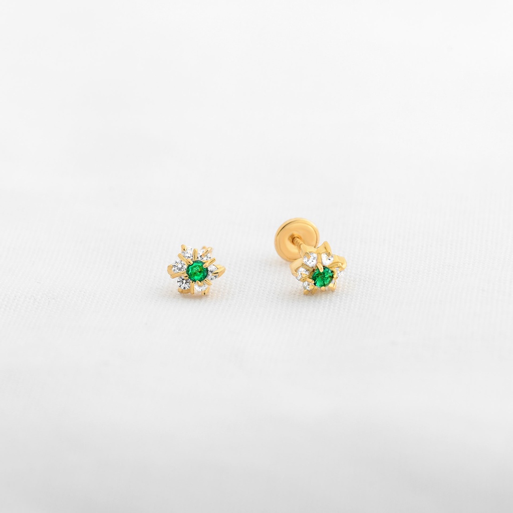 TOPOS CAMELIA