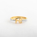 ANILLO FE DE LUZ