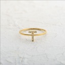 ANILLO LETRA CIRCONADA T