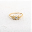ANILLO CIRCON EUFORIA SUTIL