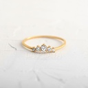 ANILLO OROGENY
