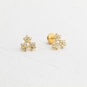 TOPOS CIRCON FLOR NEVADA