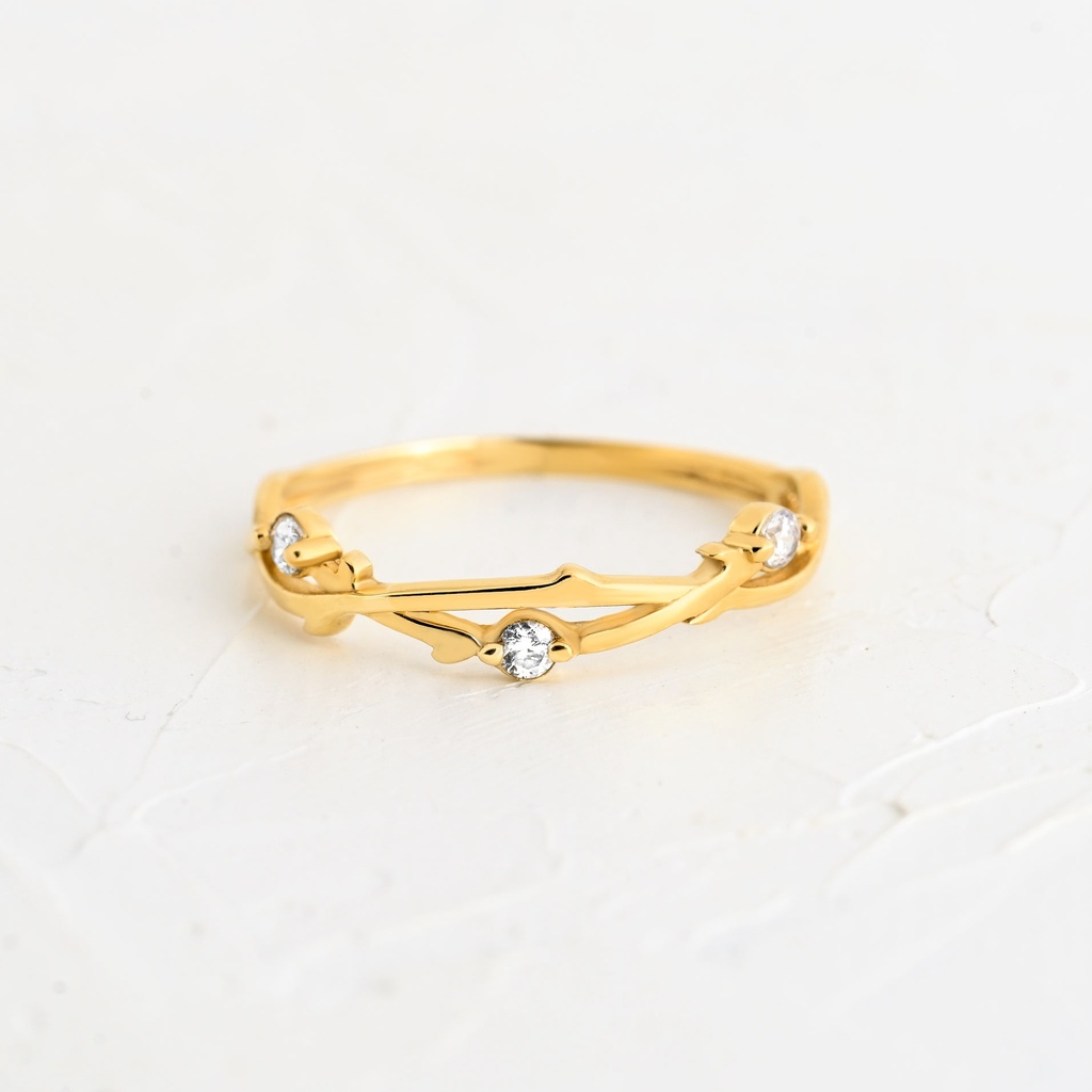 ANILLO CIRCÓN ÍGNEA