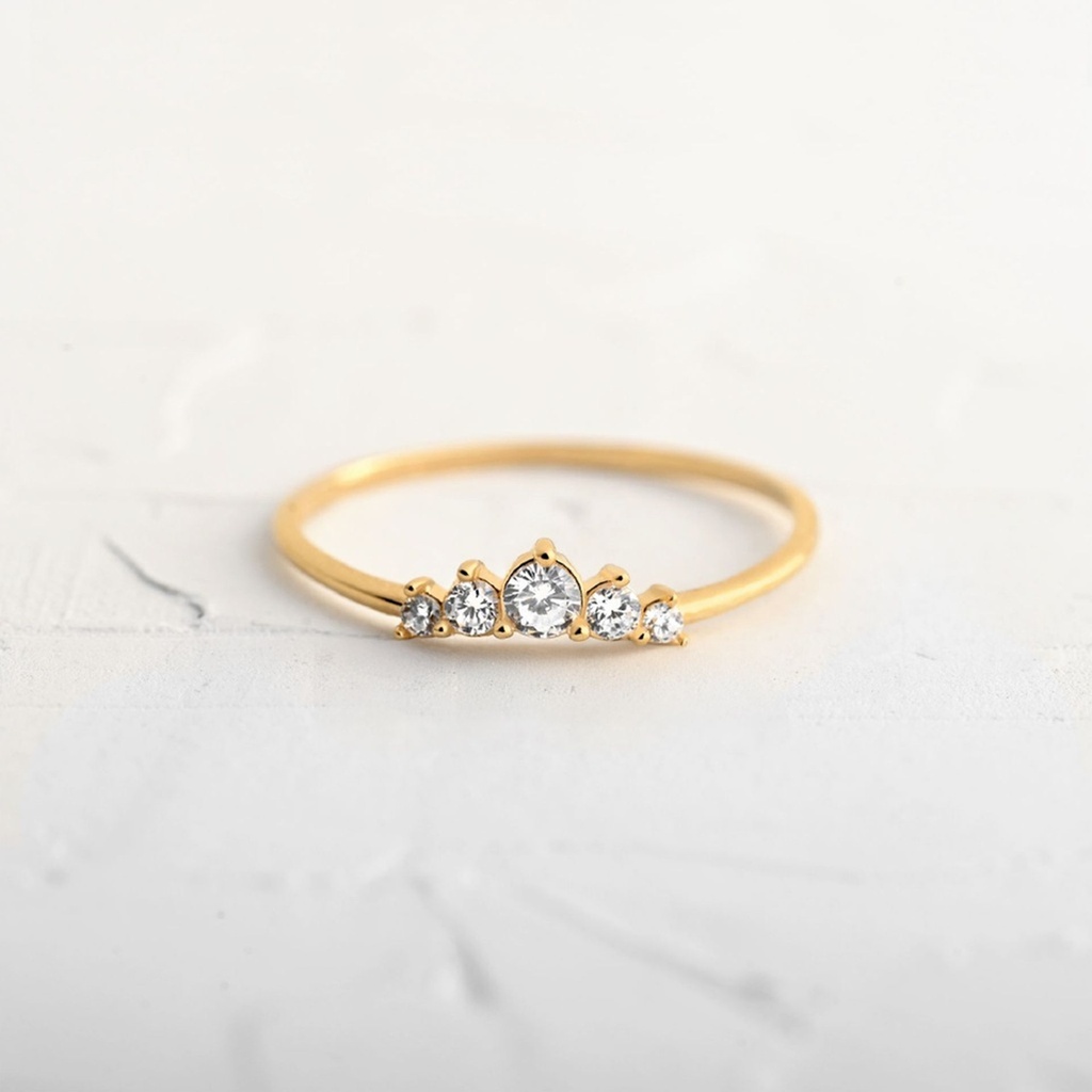 ANILLO OROGENY