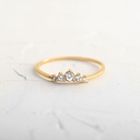 ANILLO OROGENY