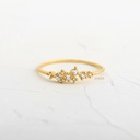 ANILLO CON CIRCONES ENLAZADOS