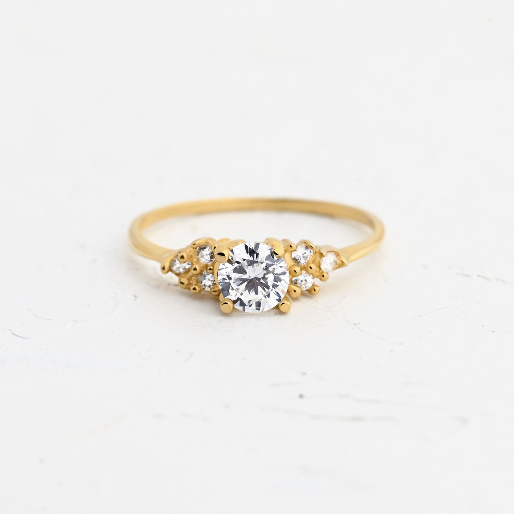 ANILLO CIRCÓN PUREZA