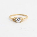 ANILLO CIRCÓN PUREZA