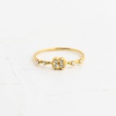 ANILLO CIRCÓN MOONLI