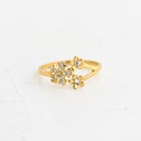 ANILLO CIRCÓN ESCARCHA DE NIEVE