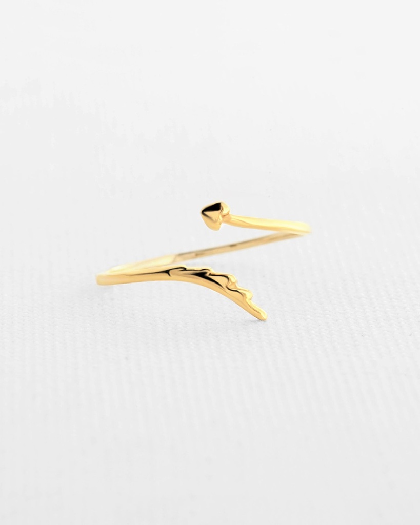 ANILLO PLUMA Y CORAZÓN