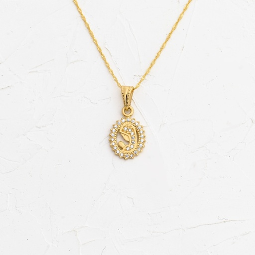 DIJE DE LA VIRGEN MARIA CON BORDE CIRCONADO 