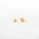 TOPOS COLIBRÍ