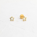 TOPOS ESTRELLA CIRCONADA