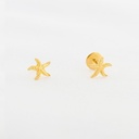 TOPOS ESTRELLA DE MAR