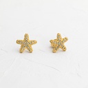 TOPOS ESTRELLA CON CIRCONES