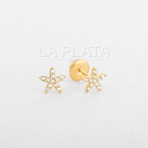 TOPOS ESTRELLA CIRCONADAS 