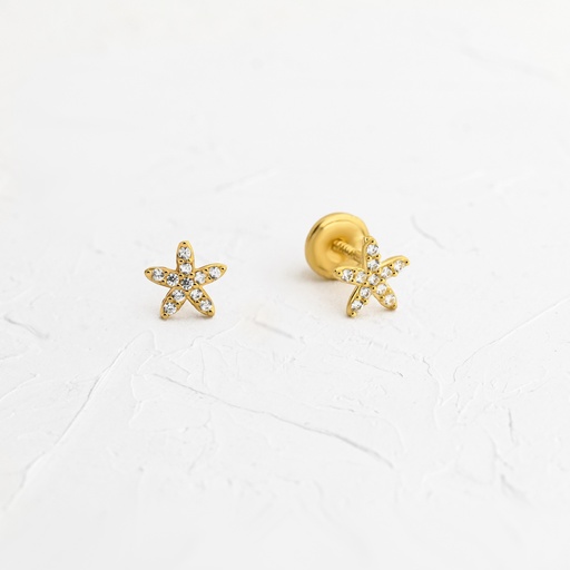 TOPOS ESTRELLA CIRCONADAS 