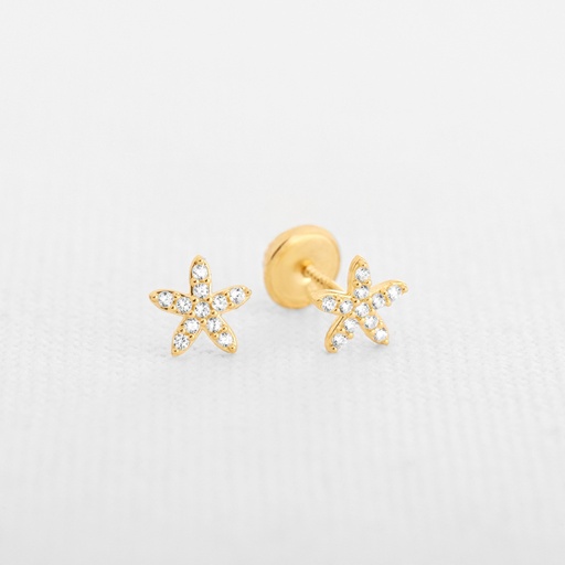 TOPOS ESTRELLA CIRCONADAS 