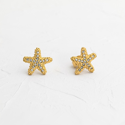 [TP235] TOPOS ESTRELLA CON CIRCONES