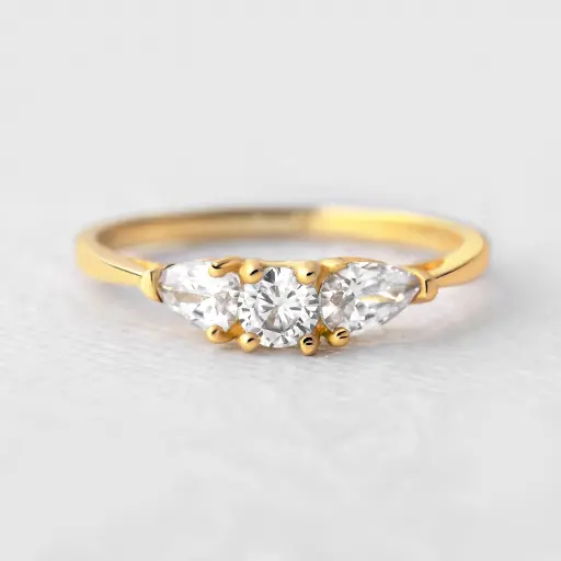 ANILLO CON CIRCÓN JUNTO