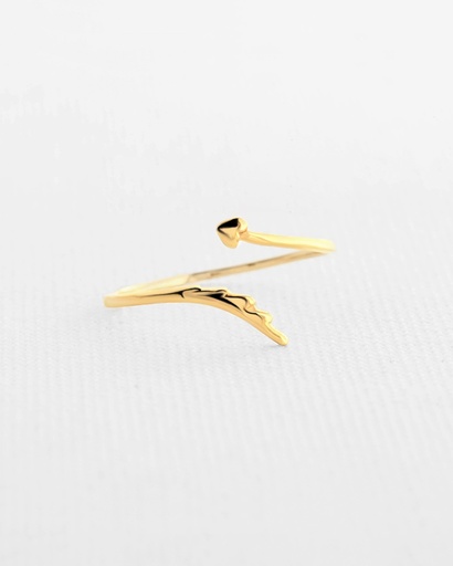 ANILLO PLUMA Y CORAZÓN