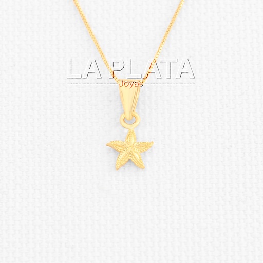 [DN689] DIJE ESTRELLA DE MAR RANURADA