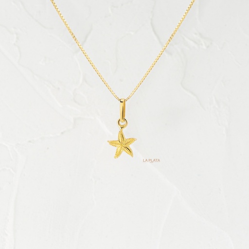 [DN689] DIJE ESTRELLA DE MAR RANURADA