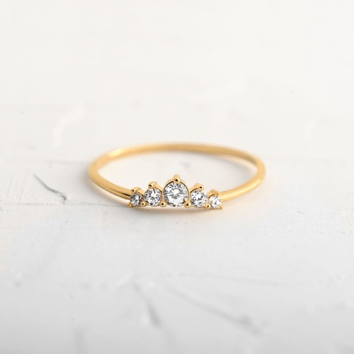 ANILLO OROGENY