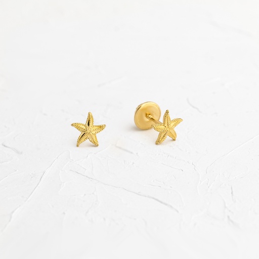 [TP512] TOPOS DE ESTRELLAS DE MAR GR