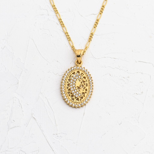 [DN953] DIJE VIRGEN MARIA CIRCONADA