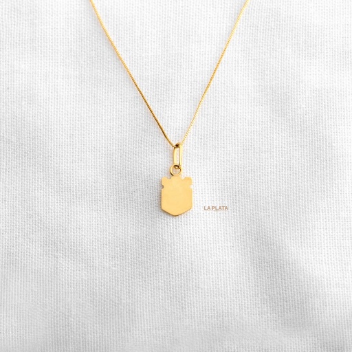 [DN1177] DIJE ESCUDO LISO