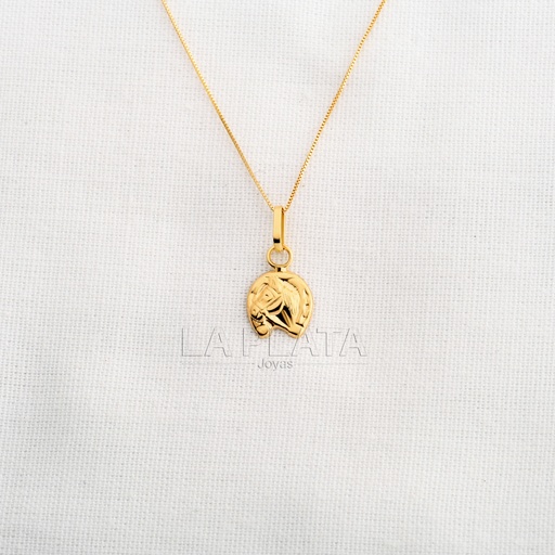 [DN1204] DIJE HERRADURA LIVIANO