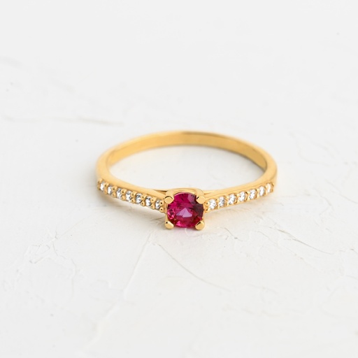ANILLO CIRCON EQUILIBRIO