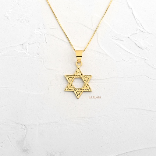 [DN1323] DIJE LUZ DE ESTRELLA DE DAVID