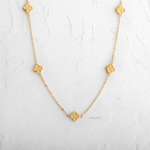 [CN36] CADENA NACIONAL SUSURRO FLORAL